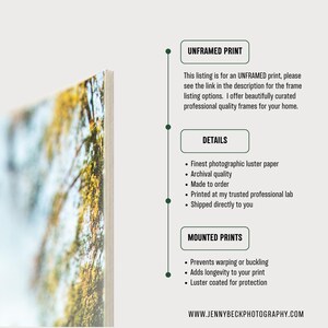 May include: A close-up of a printed photograph with a natural landscape scene. The image is printed on a white surface. The text on the right side of the image says "UNFRAMED PRINT" and "DETAILS".