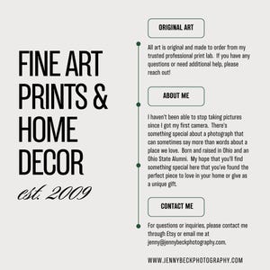 May include: A promotional graphic for fine art prints and home decor. The text includes "FINE ART PRINTS & HOME DECOR est. 2009" in a bold, black font. Additional text provides information about the art and contact details.