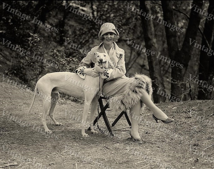 1921 Vintage Greyhound dog Photo Vintage Miss America Black & White Margaret Gorman with greyhound Photograph fine art print wall home decor