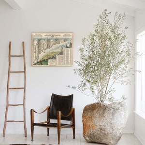 May include: A vintage map of the world in a wooden frame hangs on a white wall. A large stone planter with a green leafy plant sits on the floor next to a brown leather armchair. A wooden ladder leans against the wall.
