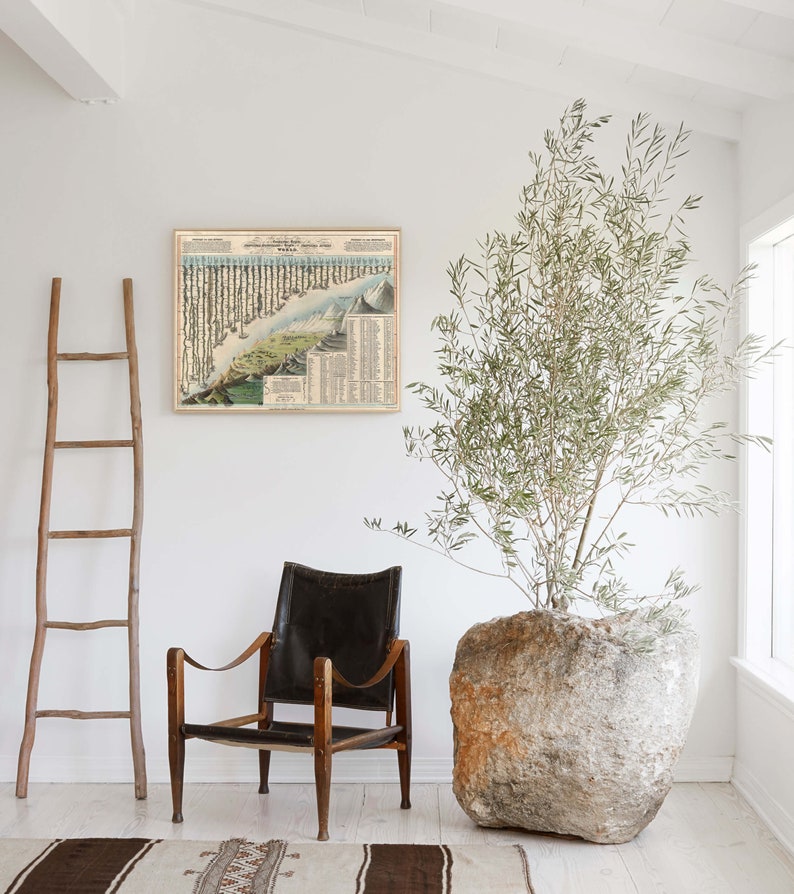 May include: A vintage map of the world in a wooden frame hangs on a white wall. A large stone planter with a green leafy plant sits on the floor next to a brown leather armchair. A wooden ladder leans against the wall.