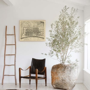 May include: A black leather armchair with wooden legs sits in a white room with a vintage map print on the wall and a large potted olive tree in a stone planter.