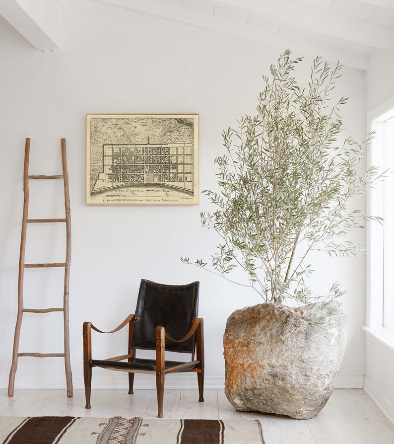 May include: A black leather armchair with wooden legs sits in a white room with a vintage map print on the wall and a large potted olive tree in a stone planter.