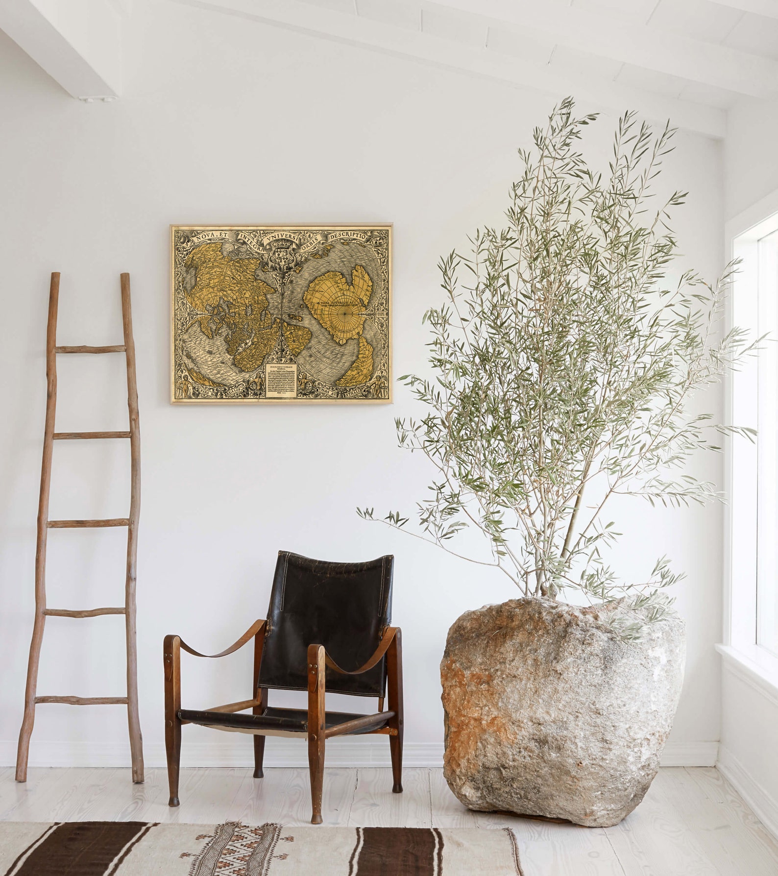 1531 World Map - the Oronteus Finaeus Map - Vintage Old World Wall Map ...