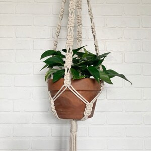 May include: A white macrame plant hanger with a terracotta pot and a green plant hanging from it against a white brick wall.