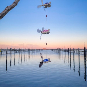 May include: A decorative wind chime featuring three wooden turtle ornaments with spinning propeller wings, suspended from a string. The turtles have blue and pink shells. The background shows a calm body of water and a sunset.