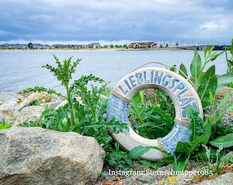 Lifebuoy - favourite place 40 cm x 40 cm in blue-natural
