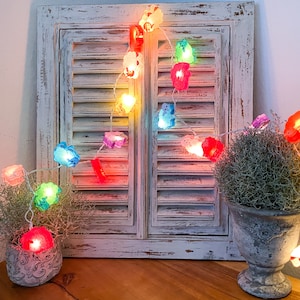 May include: A string of fairy lights with colorful sheep-shaped bulbs. The lights are strung around a white wooden window shutter and two potted plants.