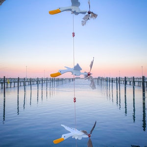 Può includere: Una serie di carillon a forma di uccelli in legno bianco con becchi arancioni e piume marroni appesi a un ramo d'albero contro un cielo blu e uno specchio d'acqua calmo con pali di legno sullo sfondo.