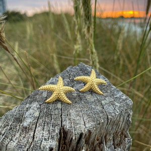 Starfish ear studs made of 925 silver 18 ct. gilded.