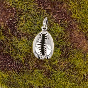 Cowrie shell pendant 925 silver polished