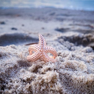 Starfish ring 925 solid silver matted in rose gold and not running protected