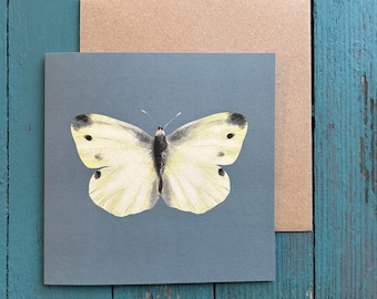Carte blanche illustrée de chou papillon blanc