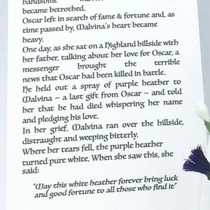 May include: A white card with black text describing the legend of lucky heather. The text tells the story of a Scottish warrior named Oscar and his love, Malvina. The card features a small sprig of purple heather.