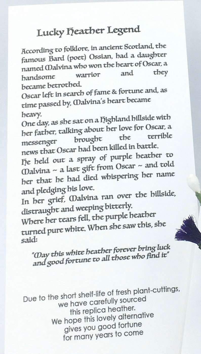 May include: A white card with black text describing the legend of lucky heather. The text tells the story of a Scottish warrior named Oscar and his love, Malvina. The card features a small sprig of purple heather.