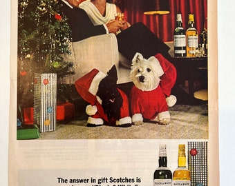 Vintage Black & White Blended Scotch Whisky Advertisement Magazine- Original Print-