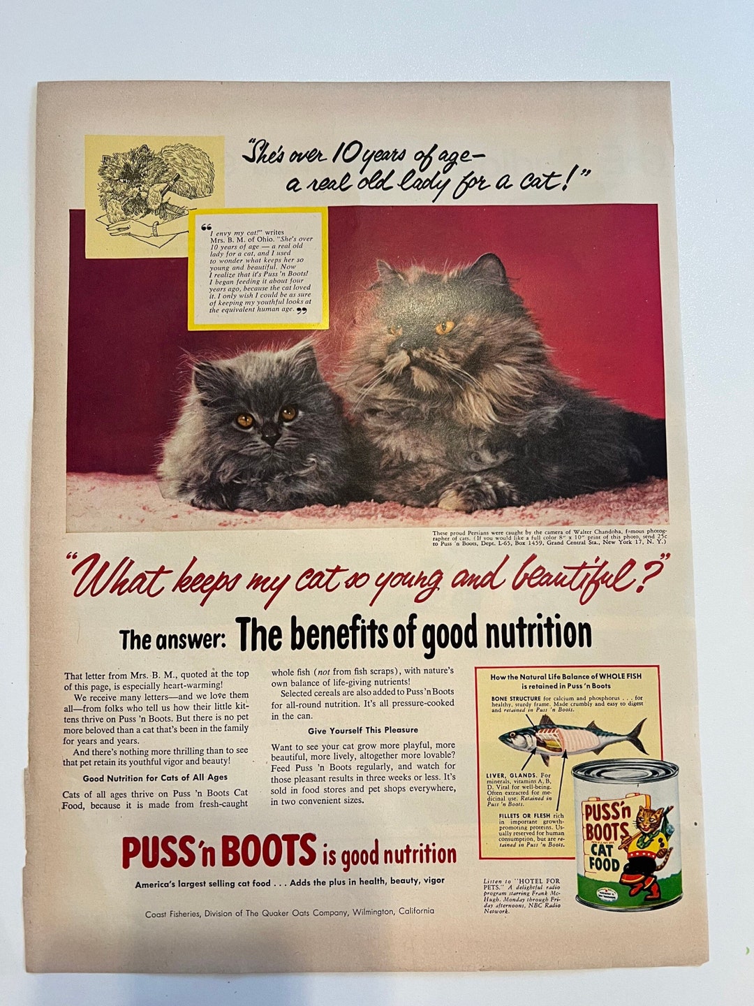 1955 Vintage Ad for Puss N' Boots Cat Food original Print Etsy