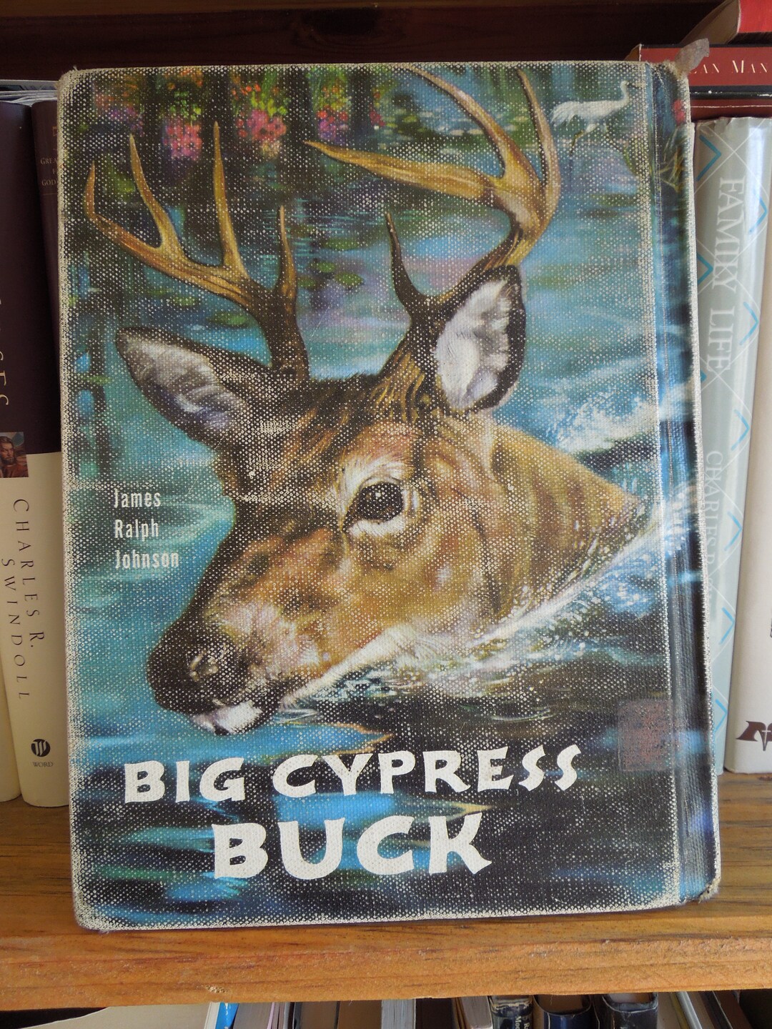 Big Cypress Buck by James Ralph Johnson Copyright 1957 Published by ...