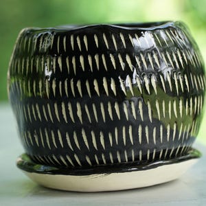Hand-Carved Black Ceramic Planter | Dash Design Small Batch Pottery for Succulents