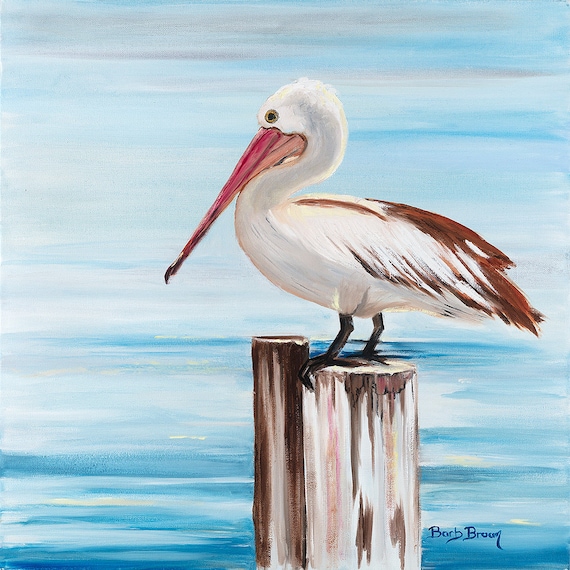 Pelican 20 2025