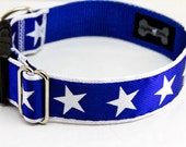 Super star buckle OR martingale (limited slip) dog collar and optional 4 foot leash: Modern, patriotic, and great for active & athletic dogs