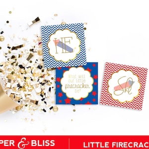 Firecracker Gender Reveal - Cupcake Toppers - PRINTABLE - 4. Juli - Rot, Weiß und Blau - INSTANT DOWNLOAD