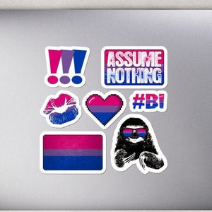 Ensemble bisexuel d’autocollant de drapeau de fierté