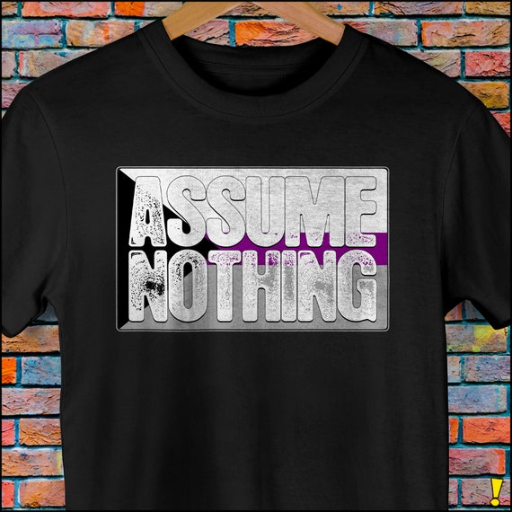 Assume Nothing Demisexual Pride Flag Premium Unisex T-Shirt Assume Nothing Demisexual Pride Flag Premium Unisex T-Shirt