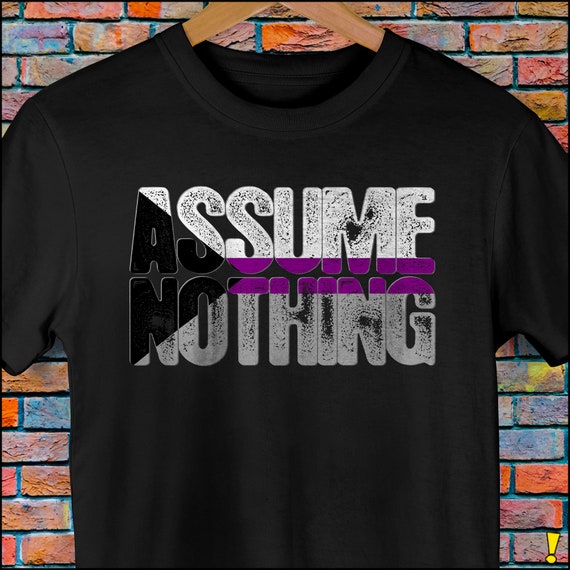 Assume Nothing Demisexual Pride Premium Unisex T-Shirt Assume Nothing Demisexual Pride Premium Unisex T-Shirt