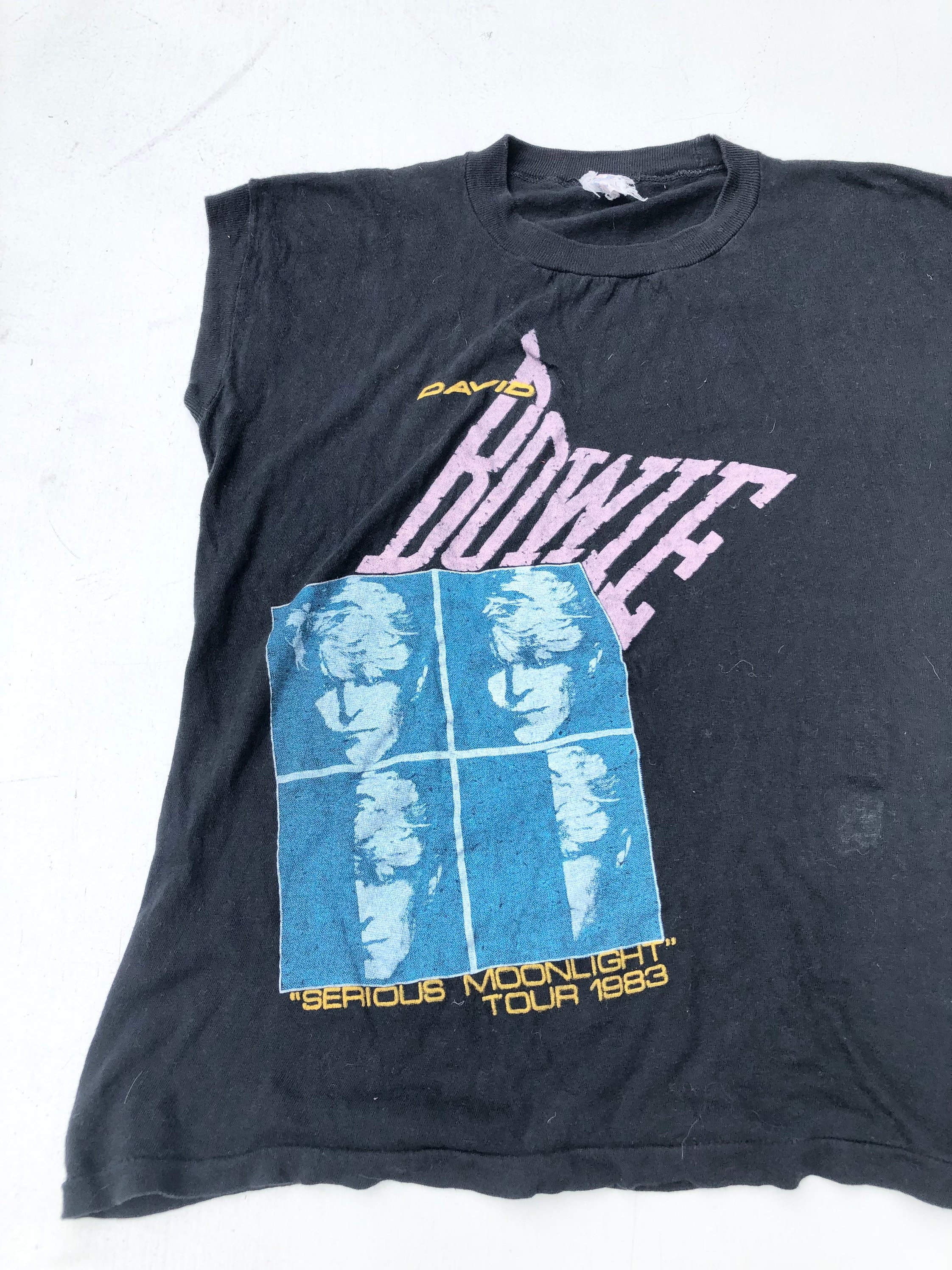 1983 デヴィッド・ボウイ シリアス・ムーンライト・ツアー 1983 デヴィッド・ボウイ シリアス・ムーンライト・ツアー
