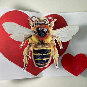 Honey &quot;Bee&quot; My Valentine Pop Up Card