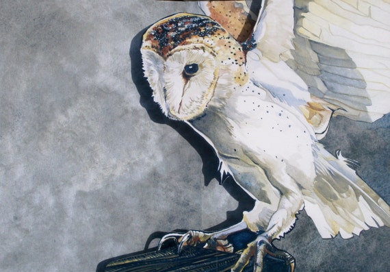 Barn Owl - Sticker – Amy Rose Moore - View #7