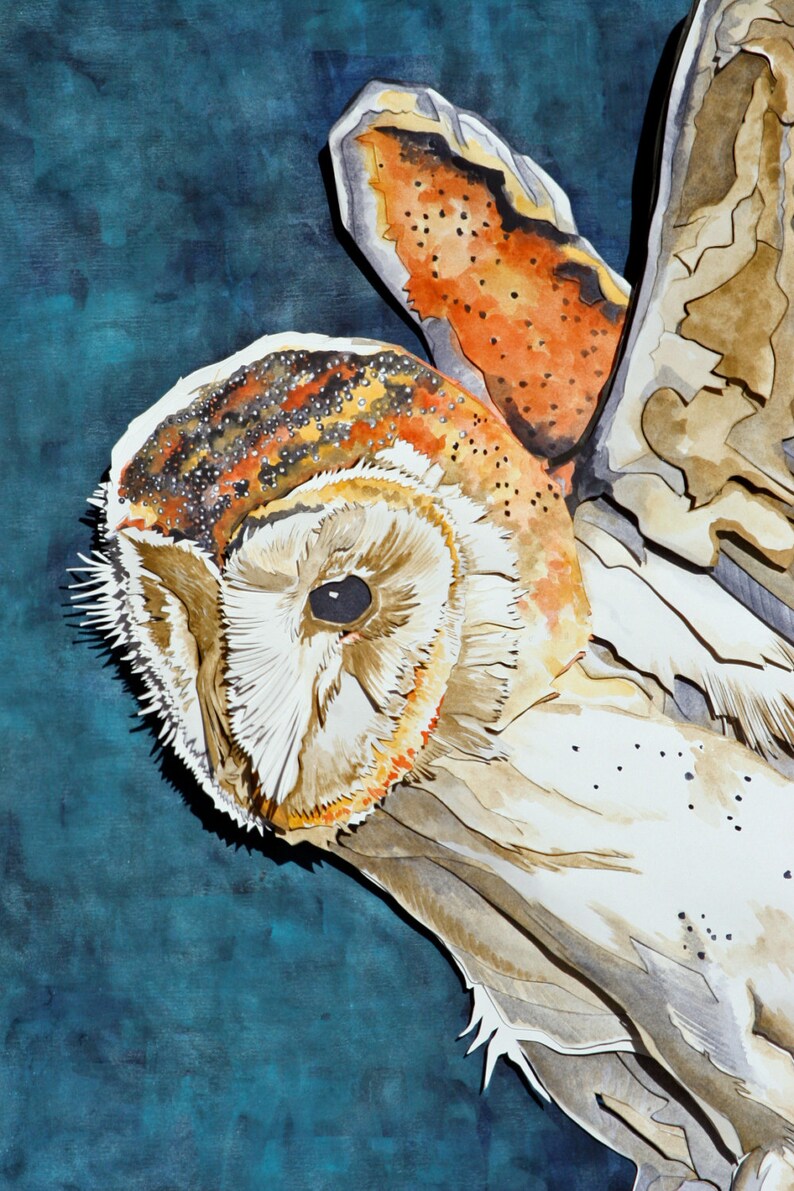 以下が含まれることがあります： 茶色、オレンジ、白の羽根を持つアオバズクの水彩画。フクロウは羽を広げて飛んでいる。背景は濃い青色です。