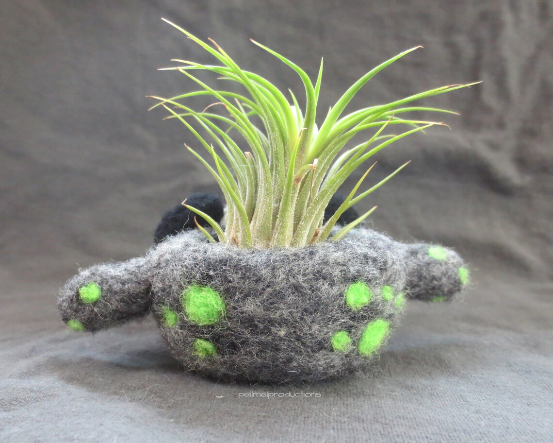 Cute Monster Needle Felted Air Plant Holder Felt Airplant Etsy