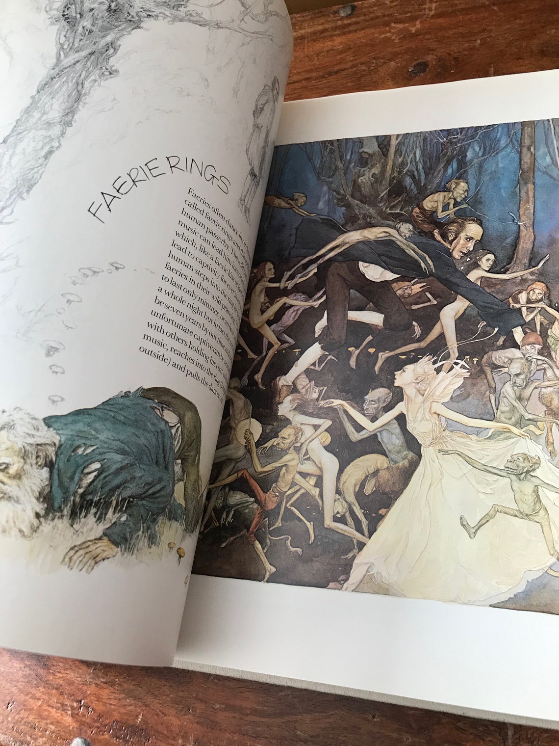 faeries brian froud alan lee faeries brian froud alan lee