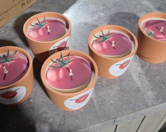 Jersey Tomato Scented Candle in terracotta pot