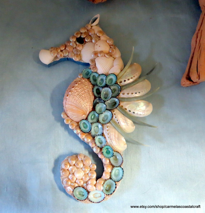 Sea shell sea horse wall art decor_Abalone and limpet shell Etsy