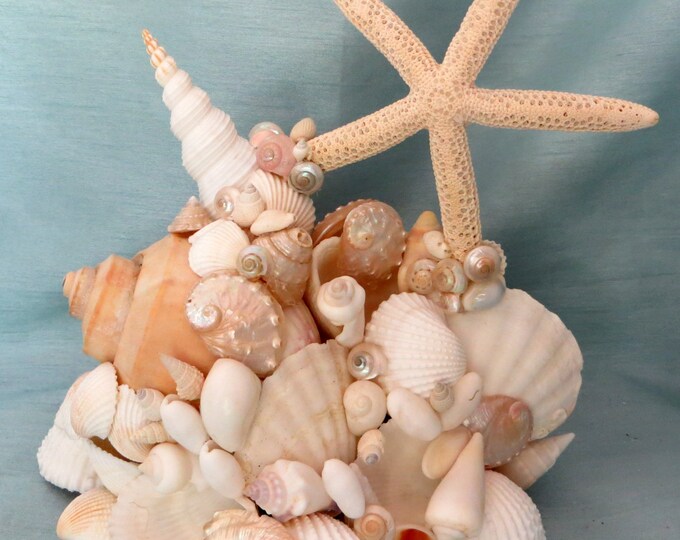 Beach Wedding Sea Shell Cake Topper or Beach Table Top Decor_shell Sculpture Etsy