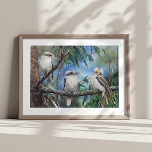 Kookaburras Three - Print