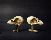 Sparrow Skull Cufflinks - Hand made realistic replica bird skull cuff links