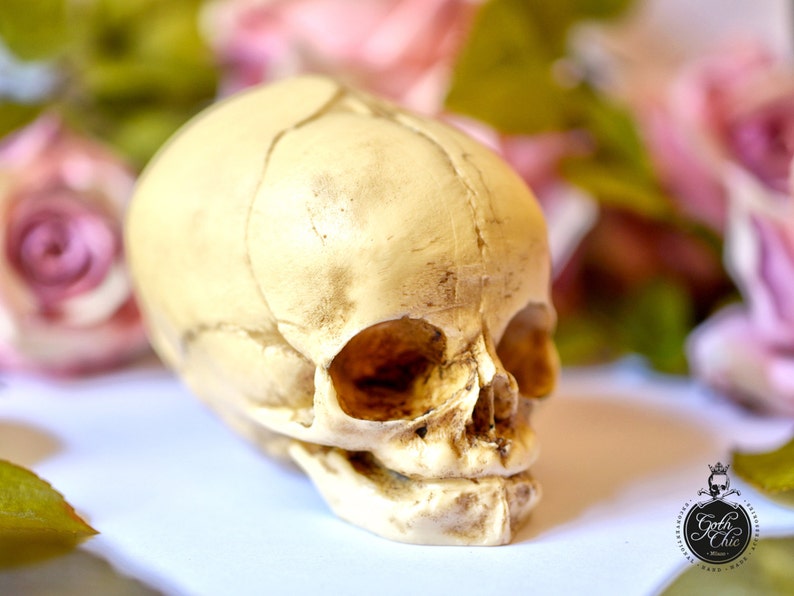 Skull replica real size resin fetus skull aged bone color Goth Oddity home decor or craft supply. image 1