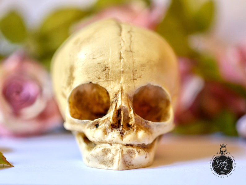 Skull replica real size resin fetus skull aged bone color Goth Oddity home decor or craft supply. image 2