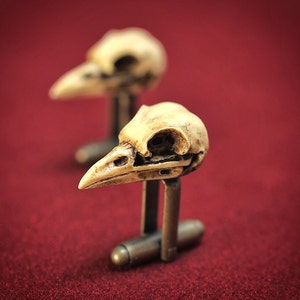 Raven Skull Men Cufflinks - Hand made victorian replica bird skull cuff links - cufflinks oddity