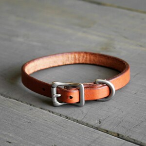 May include: A brown leather dog collar with a silver buckle.