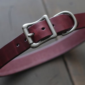 May include: A burgundy leather dog collar with a silver buckle and D-ring.
