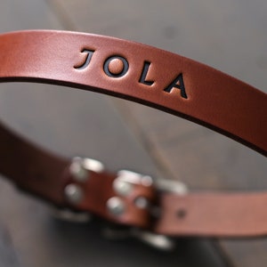 May include: A brown leather dog collar with a black engraved name "JOLA".
