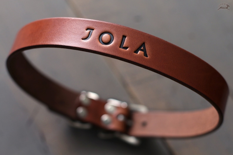 Leather Cat Collar Pet Name Tag Handmade Cat Collar Etsy Canada