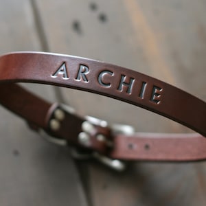 May include: A brown leather dog collar with the name "ARCHIE" embossed in black lettering.