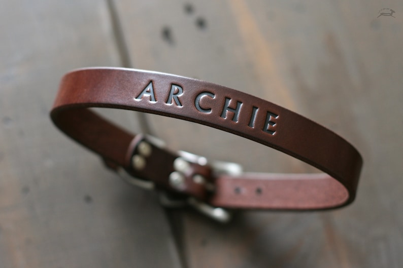 May include: A brown leather dog collar with the name "ARCHIE" embossed in black lettering.