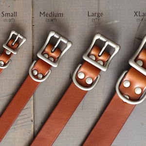 Peut inclure: Quatre colliers de chien en cuir marron avec des boucles et des rivets argent&eacute;s. Les colliers sont dispos&eacute;s par ordre de taille du plus petit au plus grand, avec les tailles indiqu&eacute;es "Small (1/2")", "Medium (3/4")", "Large (1")" et "XLarge (1-1/4")".